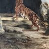 Tigers in the Ancient Ruins by Elizabeth Brooks - Image 6